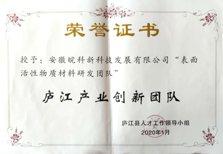Lujiang Industrial Innovation Team