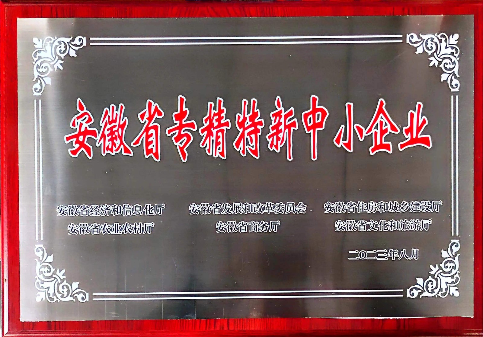 Anhui Specialized & Innovative SME